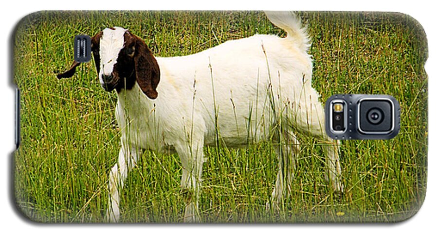 Goat Canvas Prints Galaxy S5 Case featuring the photograph Goat Fun by Wendy McKennon