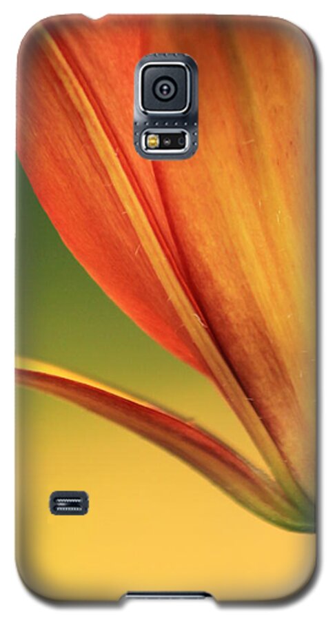 Lily Galaxy S5 Case featuring the photograph Graceful by Deborah Crew-Johnson