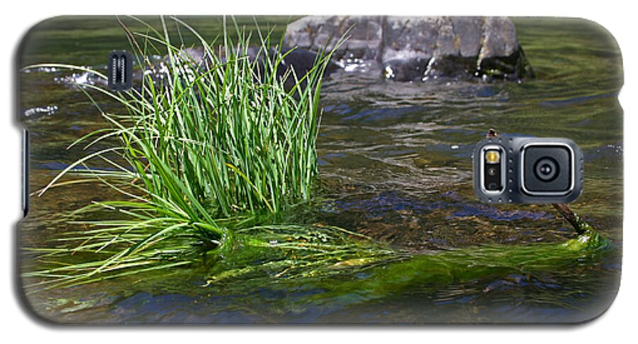 Grass Galaxy S5 Case featuring the photograph Grass Rock Stick by Joseph Bowman