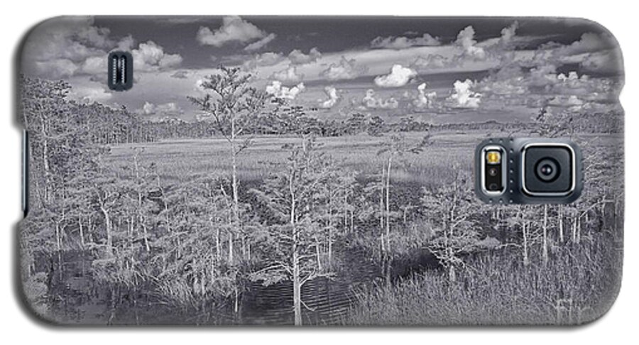 Nature Galaxy S5 Case featuring the photograph Grassy Waters 3 BW by Larry Nieland