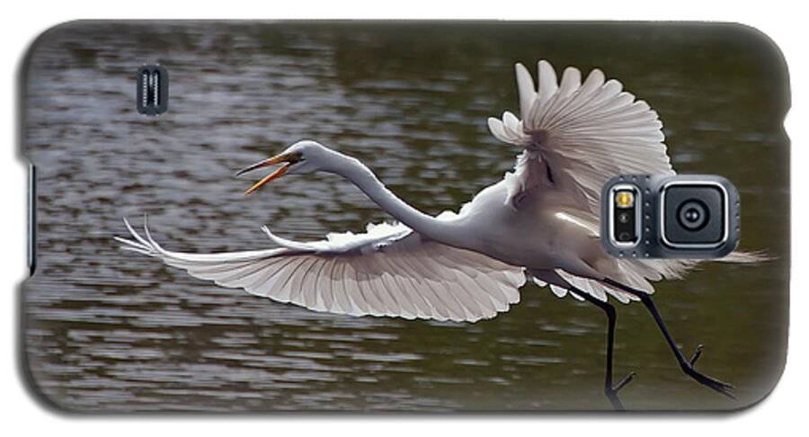 Egret Galaxy S5 Case featuring the photograph Great Egret in Flight by Art Whitton