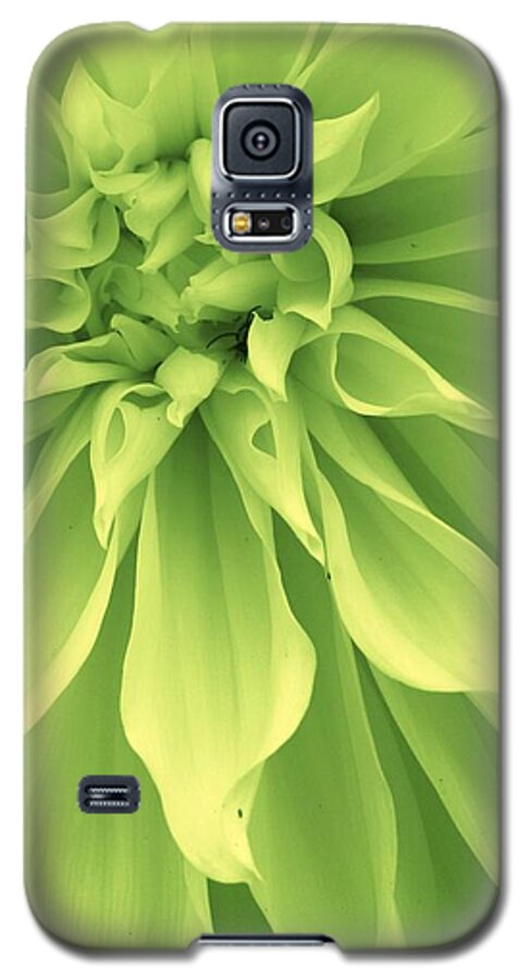 Flora Galaxy S5 Case featuring the photograph Green Sherbet by Bruce Bley