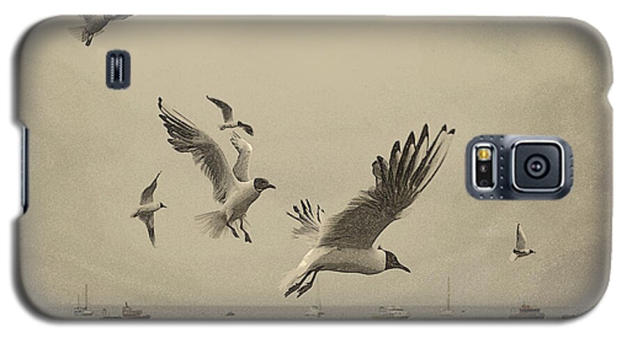 Sea Birds Galaxy S5 Case featuring the photograph Gulls by Linsey Williams