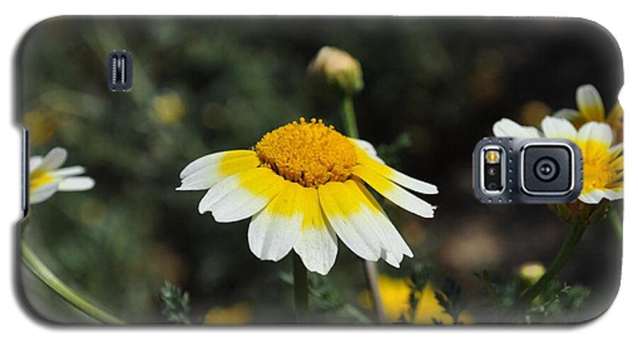 Spring Galaxy S5 Case featuring the photograph Happy Spring by Bridgette Gomes