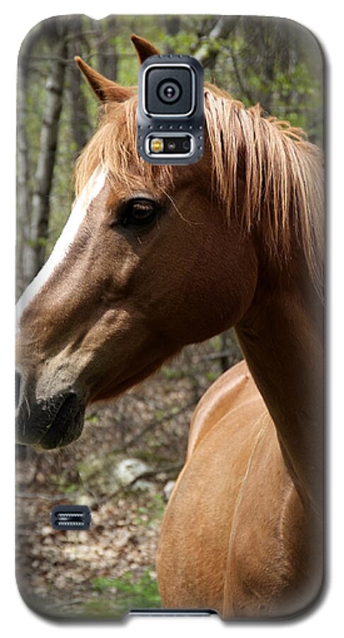 Horse Galaxy S5 Case featuring the photograph Head Shot by Michael Dorn