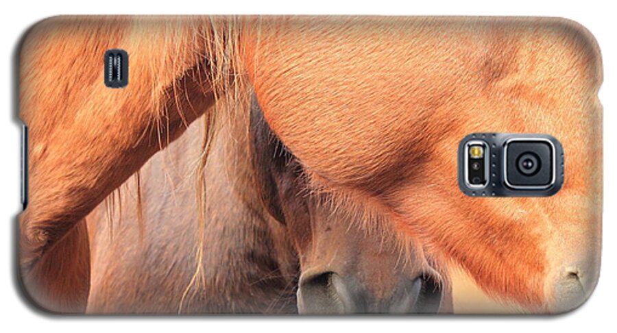 Horse Galaxy S5 Case featuring the photograph Horse Hide 2 by Jim Sauchyn