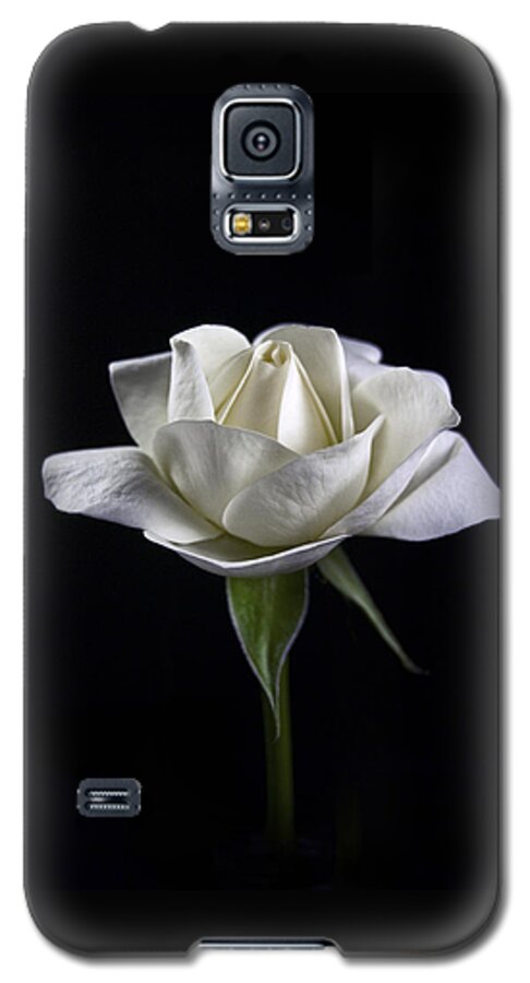 White Rose Galaxy S5 Case featuring the photograph Innocence by Elsa Santoro