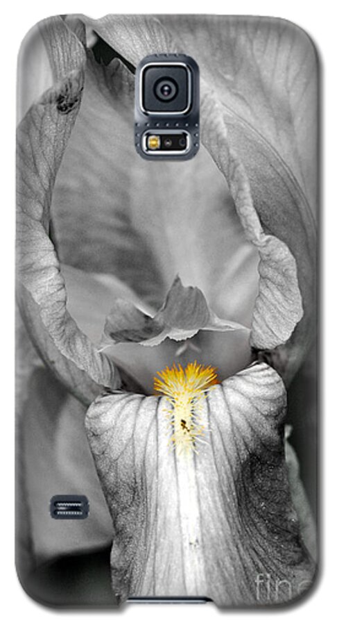 Iris Galaxy S5 Case featuring the photograph Iris - BW by Larry Carr