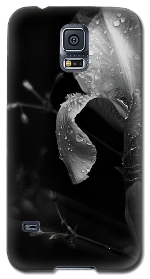black And White Galaxy S5 Case featuring the photograph Iris Adorned by Rebecca Sherman