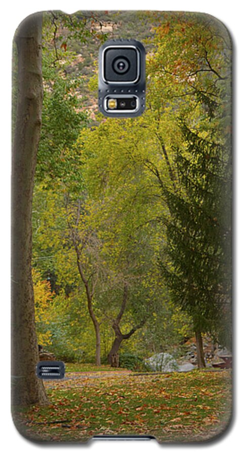 Oak Creek Canyon Galaxy S5 Case featuring the photograph Junipine by Tom Kelly