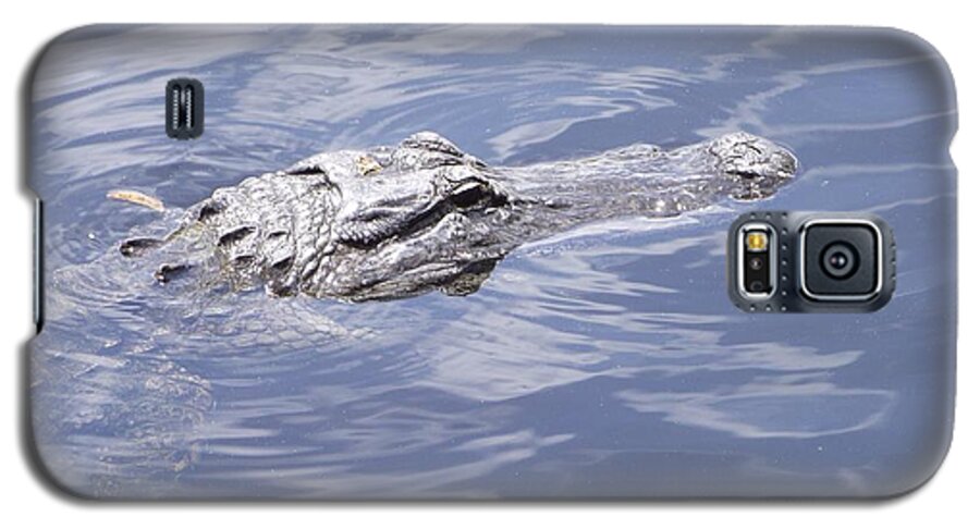 Florida Alligator Galaxy S5 Case featuring the photograph King of the Everglades by Michelle Welles