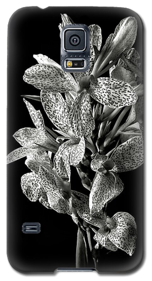 Flower Galaxy S5 Case featuring the photograph Leopard Lily in Black and White by Endre Balogh