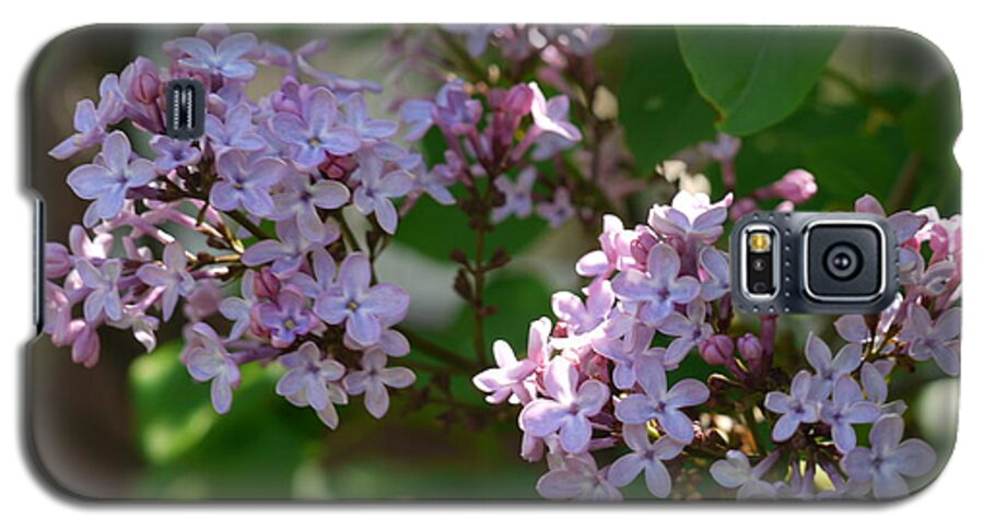 Lilacs Galaxy S5 Case featuring the photograph Lilacs in the Garden by Heather Hennick