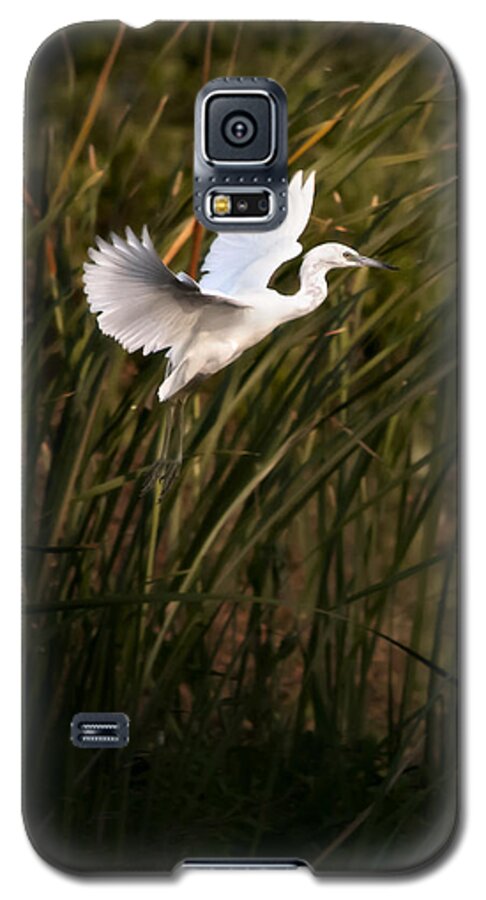 Little Blue Heron Galaxy S5 Case featuring the photograph Little Blue Heron On Approach by Steven Sparks