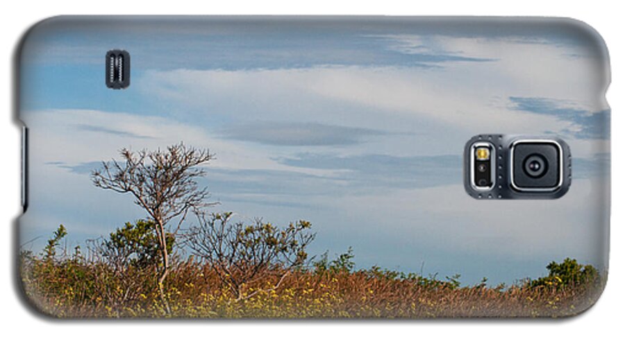 Sachuest Point Galaxy S5 Case featuring the photograph Lone Tree on the Rhode Island Coast by Nancy De Flon