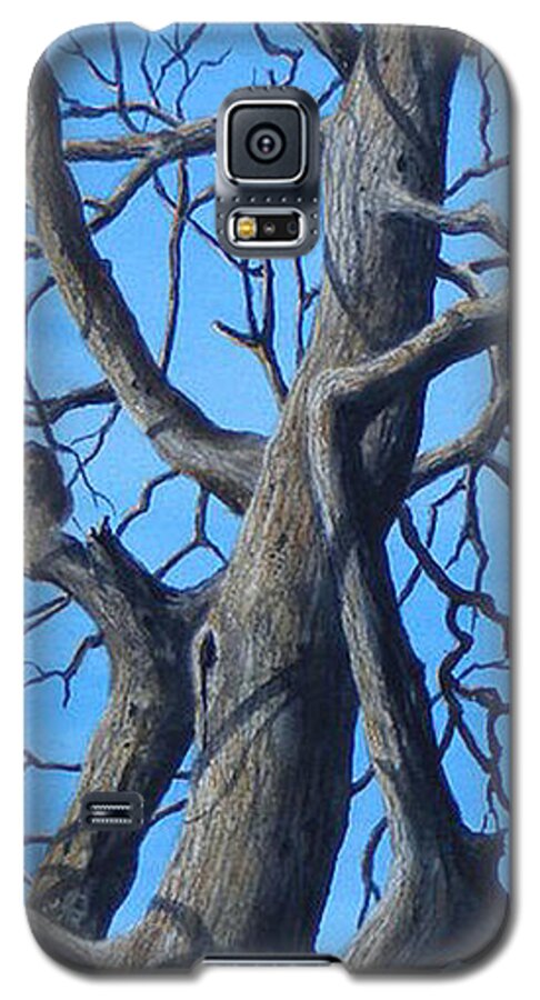 Watercolor Galaxy S5 Case featuring the painting Looking Up  SOLD by Sandy Brindle