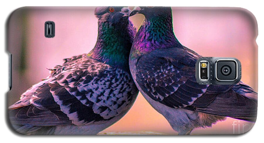 Doves Galaxy S5 Case featuring the photograph Love at First Site by Shannon Harrington