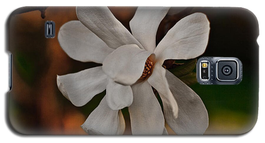 Flowers Galaxy S5 Case featuring the photograph Magnolia Bloom by Barbara McMahon