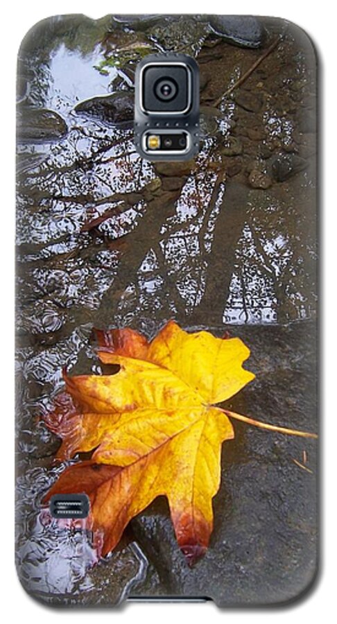 Maple Leaf Galaxy S5 Case featuring the photograph Maple Leaf Reflection 1 by Peter Mooyman