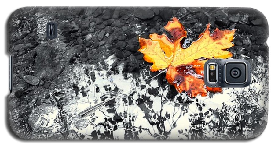 Maple Leaf Galaxy S5 Case featuring the photograph Maple Leaf Selective Color by Peter Mooyman