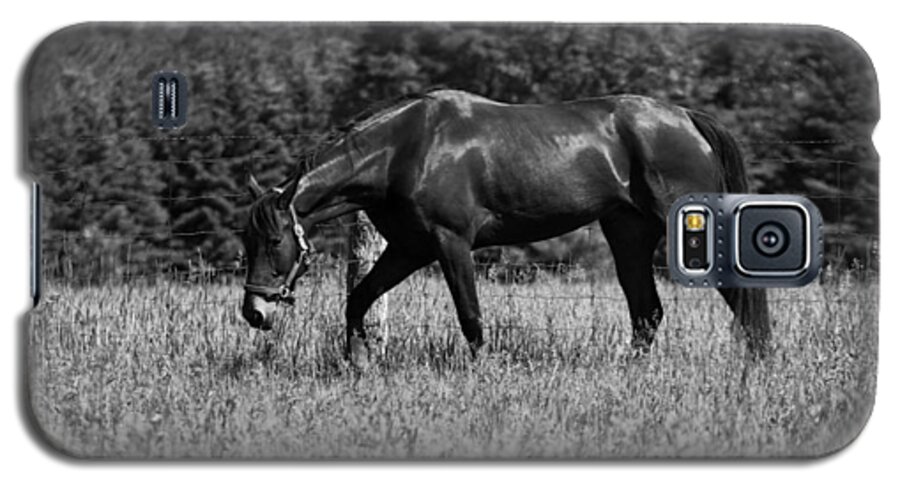 Horse Galaxy S5 Case featuring the photograph Mare in Field by Davandra Cribbie