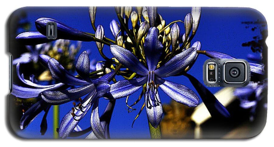 Clay Galaxy S5 Case featuring the photograph Morning Blooms by Clayton Bruster