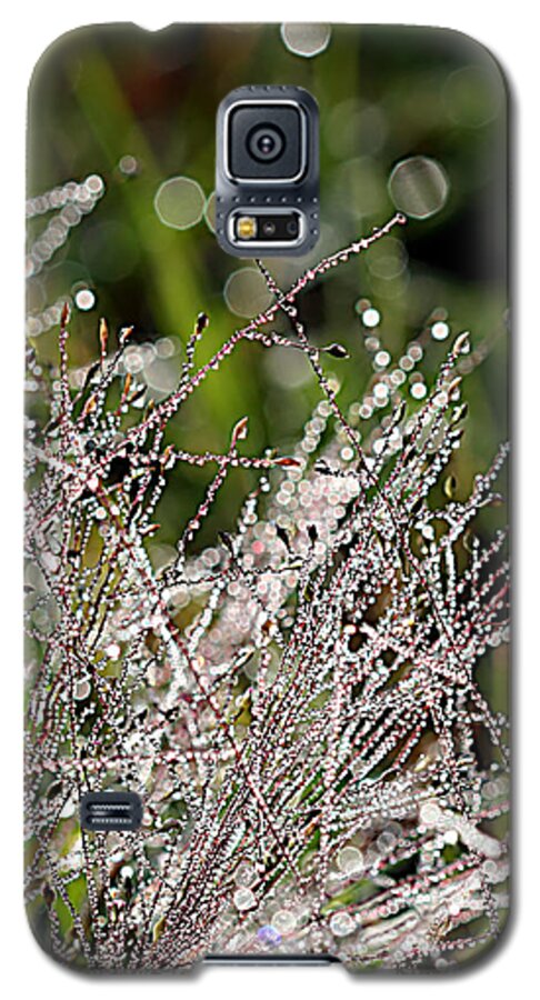 Lauren Radke Galaxy S5 Case featuring the photograph Morning Dew by Lauren Radke