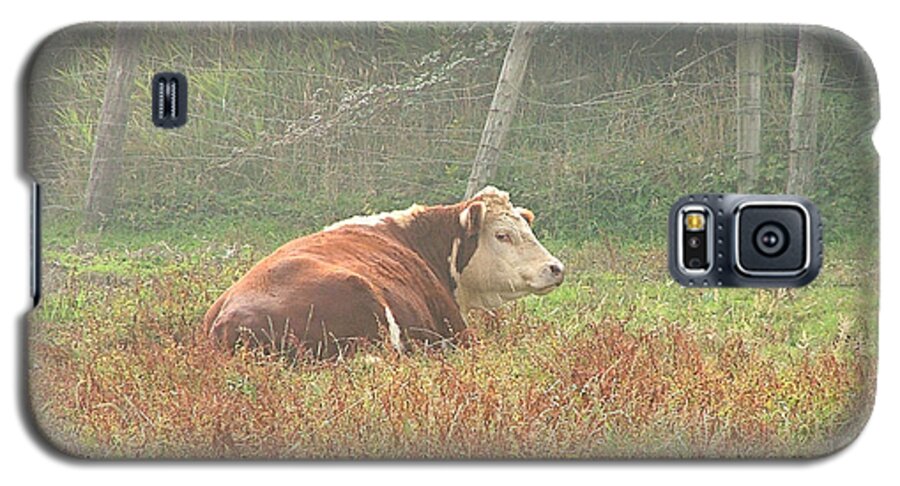 Cow Canvas Prints Galaxy S5 Case featuring the photograph Morning MOO by Wendy McKennon