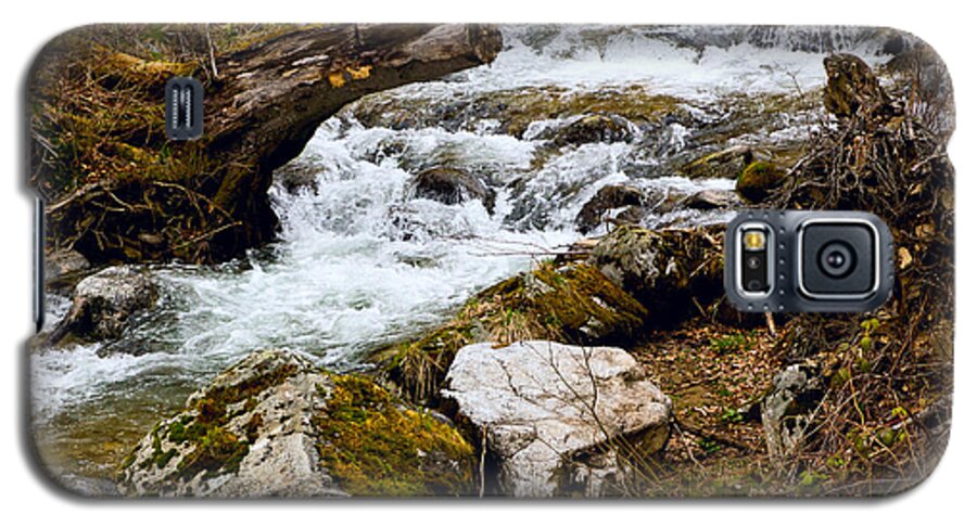 Mountain Galaxy S5 Case featuring the photograph Mountain stream by Les Palenik