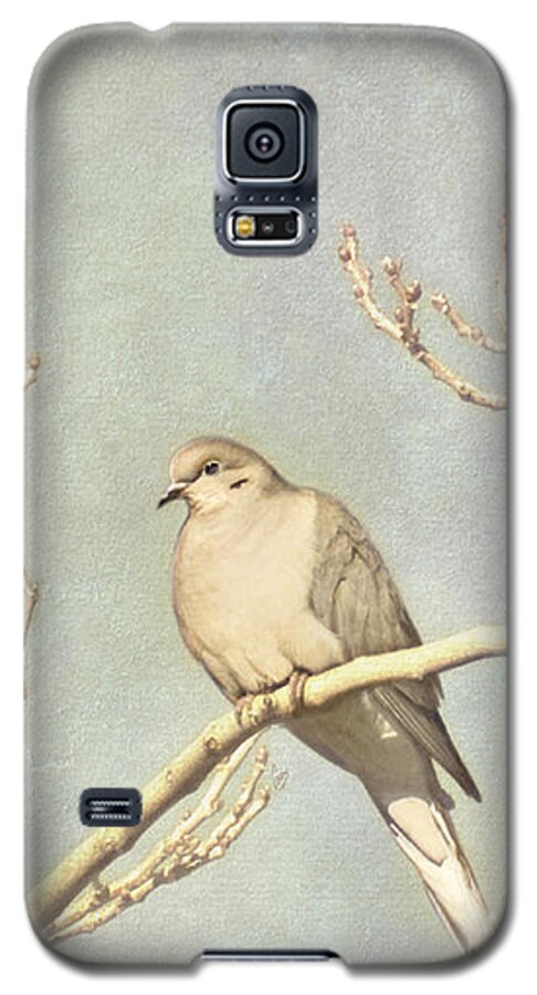 Dove Galaxy S5 Case featuring the photograph Mourning dove in winter by Cindy Garber Iverson