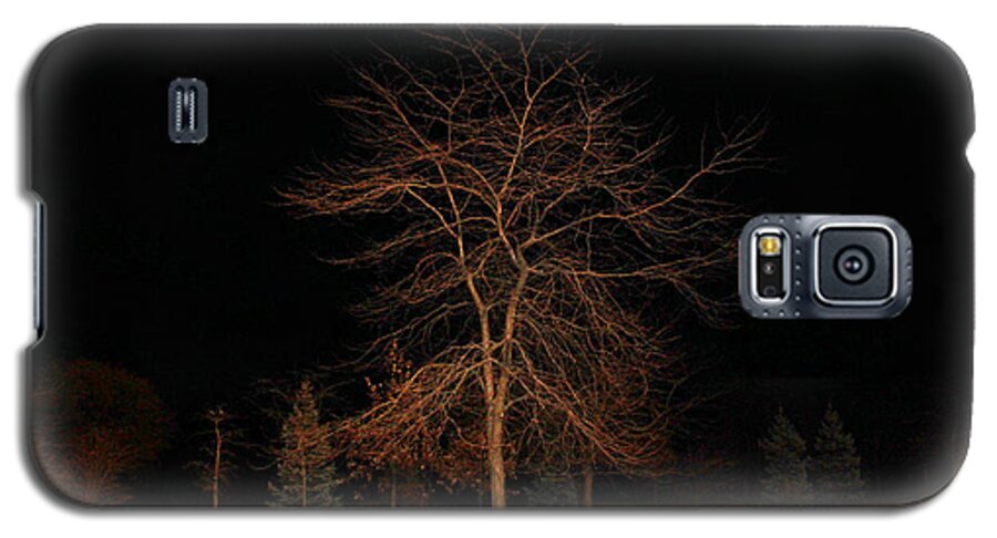 \cold Evening\ Galaxy S5 Case featuring the photograph November Night by Milena Ilieva