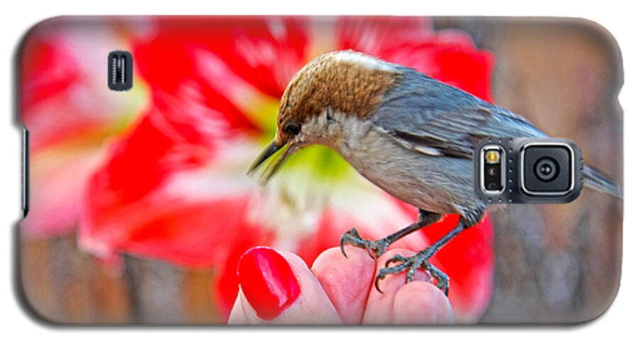 Nuthatch Bird Photography Galaxy S5 Case featuring the photograph Nuthatch Bird Friend by Luana K Perez