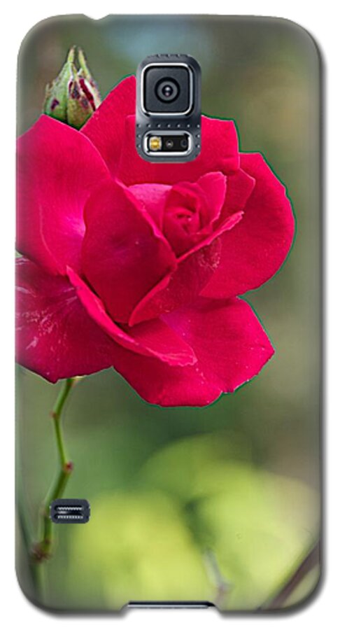 Flower Galaxy S5 Case featuring the photograph One Rose by Joseph Yarbrough