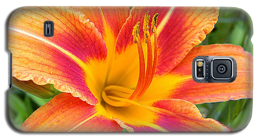  Galaxy S5 Case featuring the photograph Orange Lily by Mark J Seefeldt