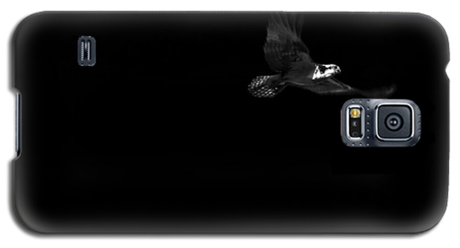 Bird Galaxy S5 Case featuring the photograph Osprey by Joseph Noonan