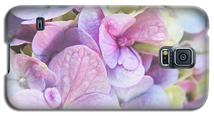Hydrangea Galaxy S5 Case featuring the photograph Pastel Hydrangeas - Square by Kerri Ligatich