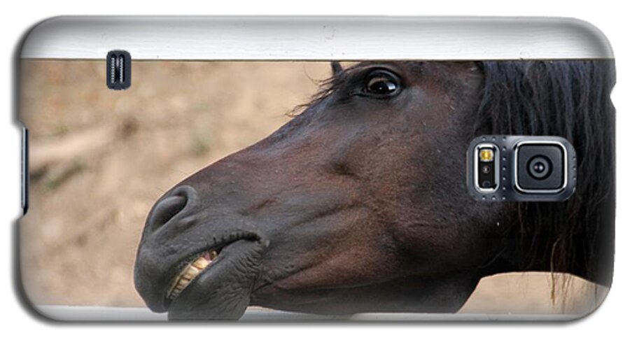 Horse Galaxy S5 Case featuring the photograph Peek a Boo by Elizabeth Winter