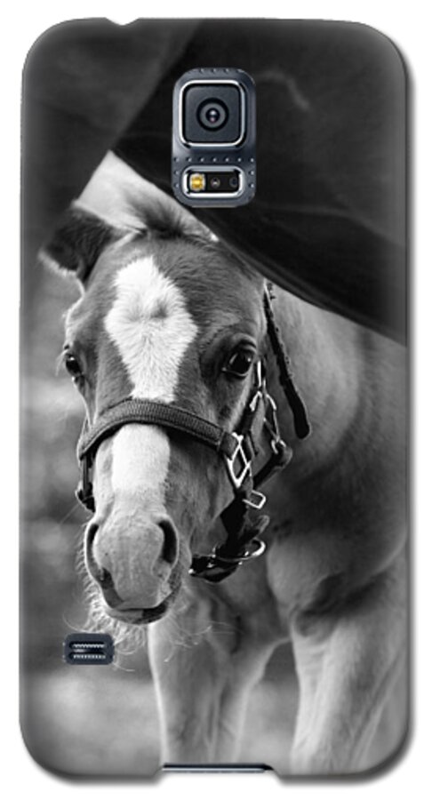 Horse Galaxy S5 Case featuring the photograph Peek'a Boo - Black and White by Angela Rath