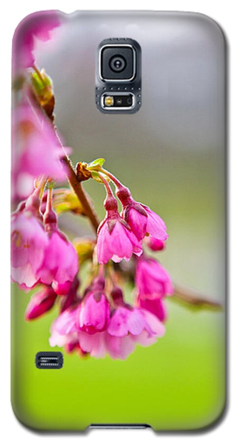 Blossom Galaxy S5 Case featuring the photograph Pink Blossom by Joseph Bowman