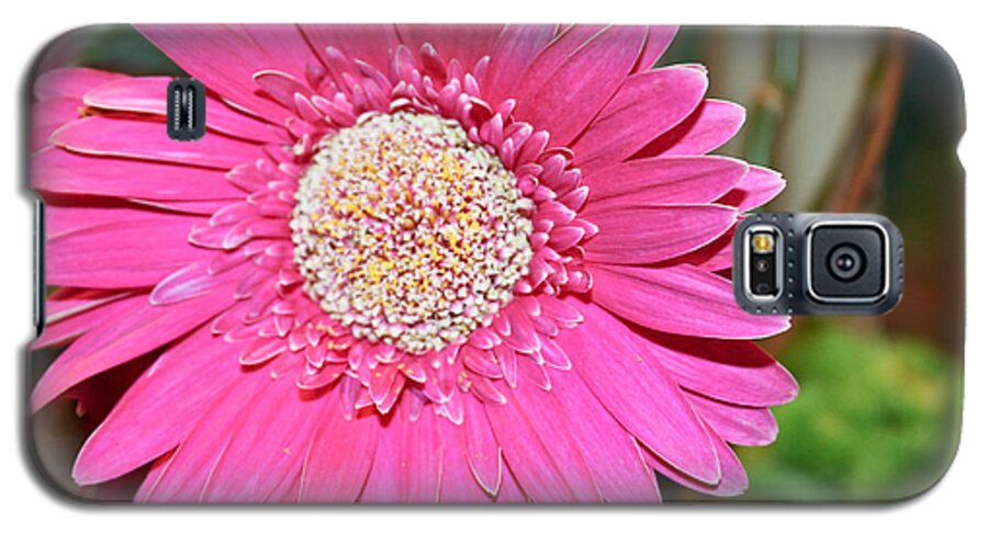 Flowers Galaxy S5 Case featuring the photograph Pink Gerbera Daisy by Ann Murphy