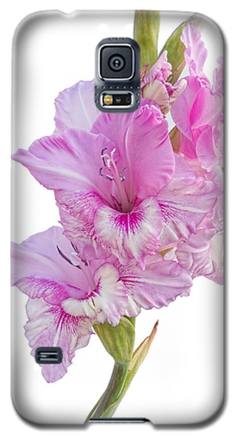 Gladiolus Galaxy S5 Case featuring the photograph Pink Gladiolus by Ann Garrett