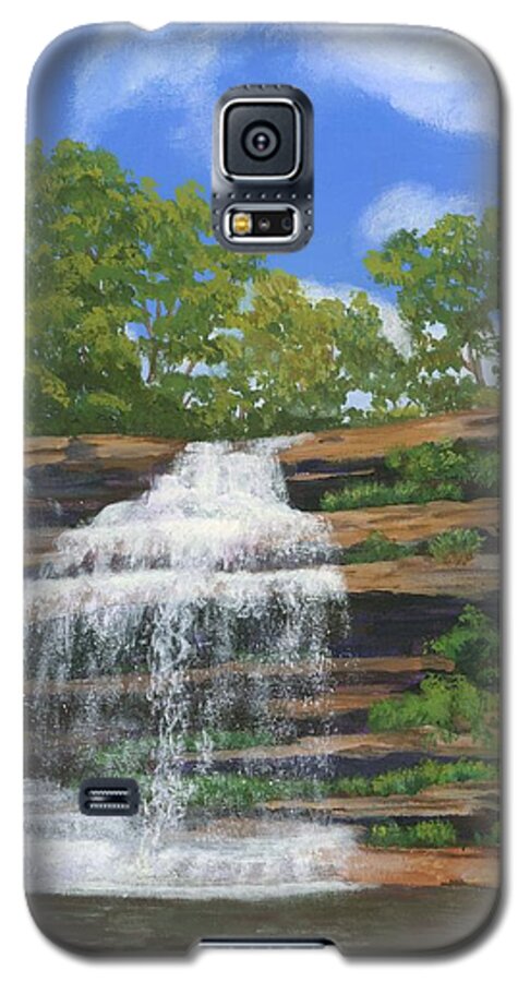 Waterfalls Galaxy S5 Case featuring the painting Pixley Falls by Lynne Reichhart