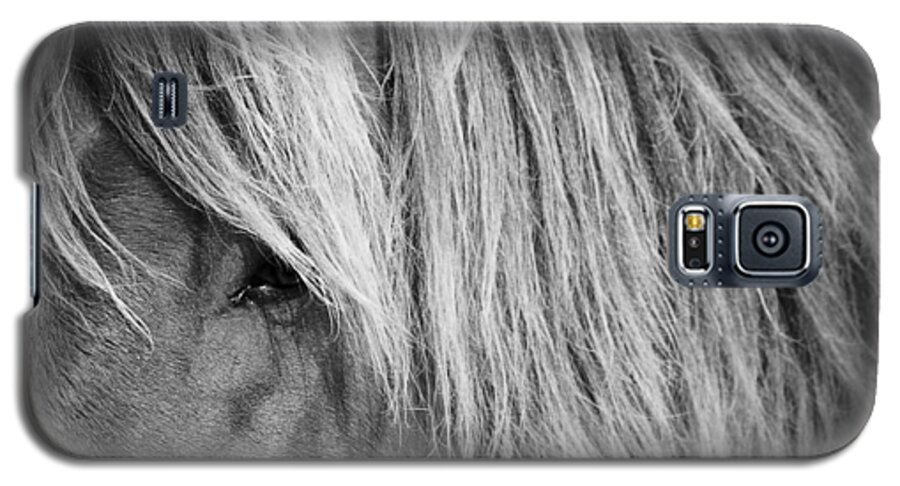 Wild Galaxy S5 Case featuring the photograph Portrait of a Wild Horse by Bob Decker