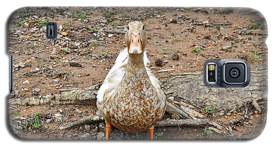 Duck Galaxy S5 Case featuring the photograph Portrait of an Alabama Duck by Verana Stark