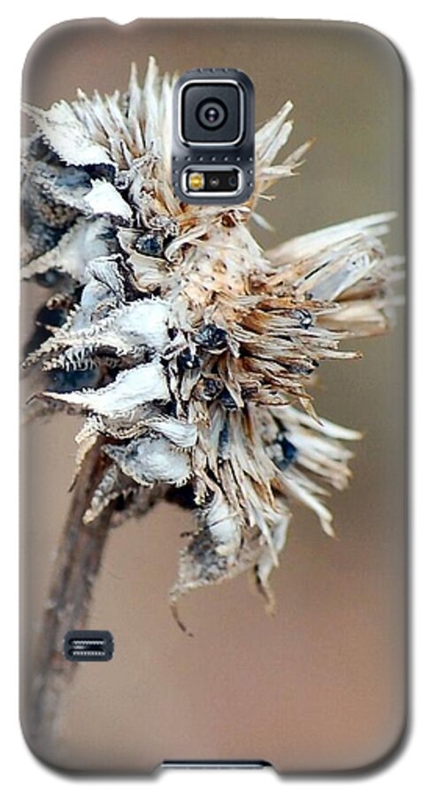Weed Galaxy S5 Case featuring the photograph 1 by Anjanette Douglas