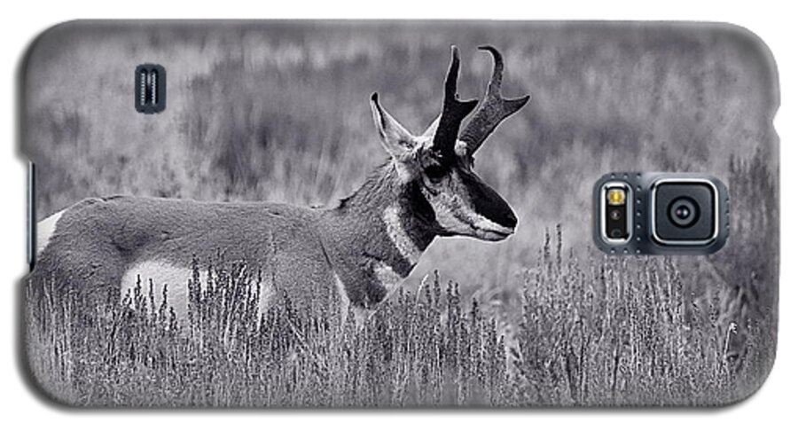 Pronghorn Galaxy S5 Case featuring the photograph Pronghorn by Eric Tressler