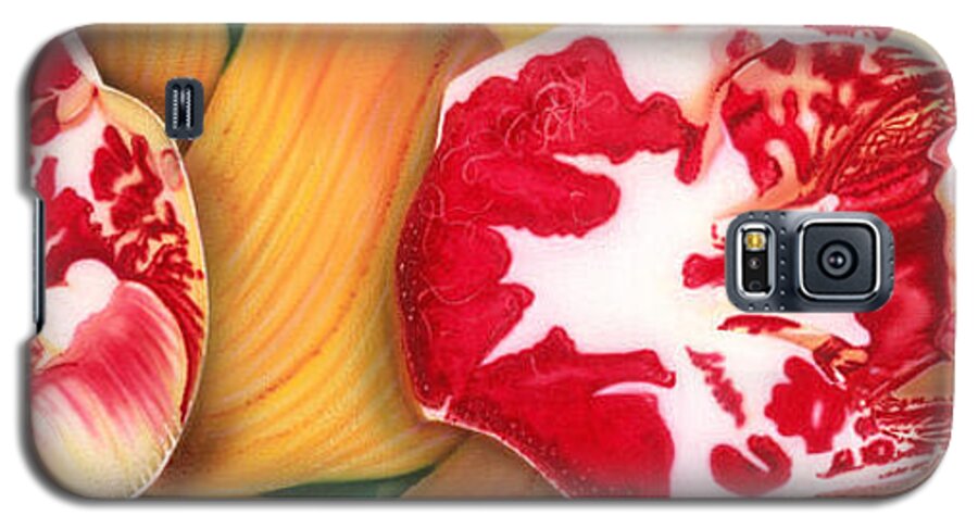 Flowers/orchids/yellow/white/red/ Galaxy S5 Case featuring the painting Red White And Yellow by Dan Menta