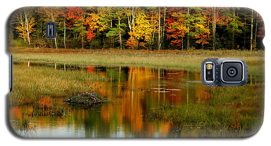 Autumn Galaxy S5 Case featuring the photograph Reflections by Cathy Kovarik