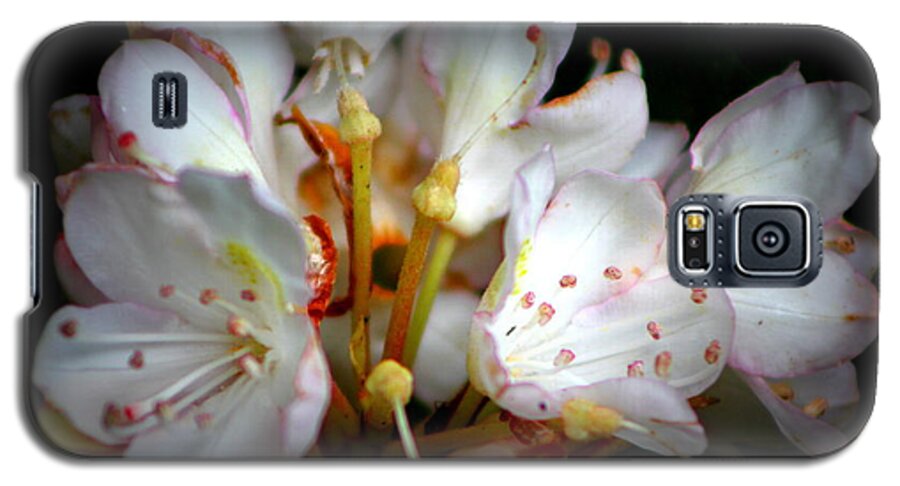 Rhododendron Galaxy S5 Case featuring the photograph Rhododendron Explosion by Deborah Crew-Johnson