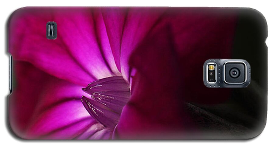 Rose Campion Galaxy S5 Case featuring the photograph Rose Campion by Andrew Pacheco